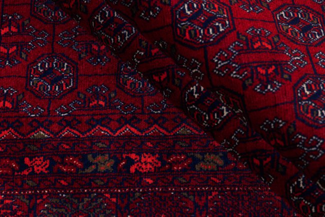 Afghan Mauri - 8