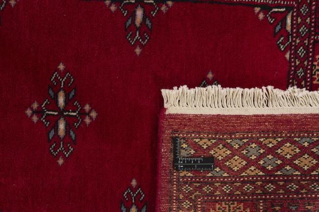 Pakistan Buchara 2ply - 1