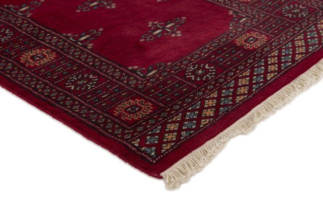 Pakistan Buchara 2ply - 3