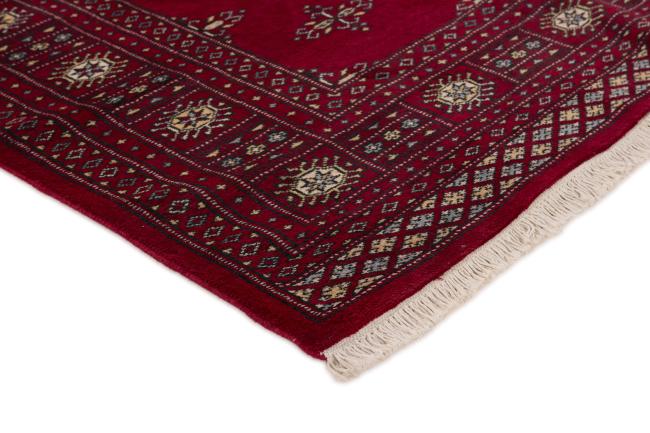 Pakistan Buchara 2ply - 3