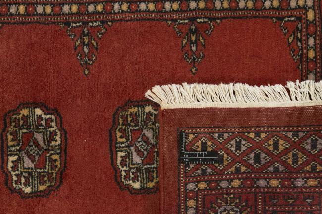 Pakistan Buchara 3ply - 1