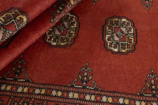 Pakistan Buchara 3ply - 2