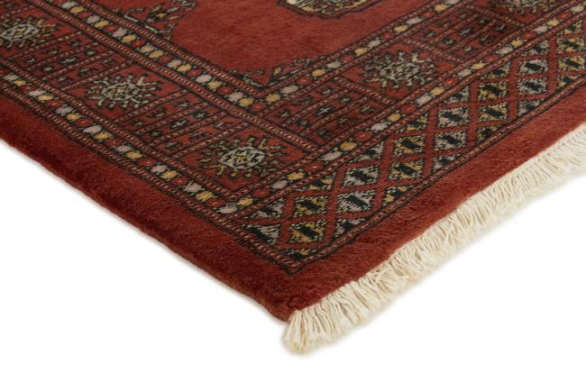 Pakistan Buchara 3ply - 3