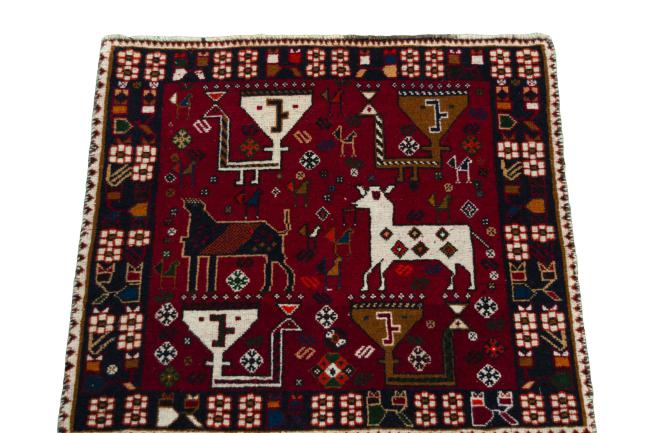Shiraz - 3