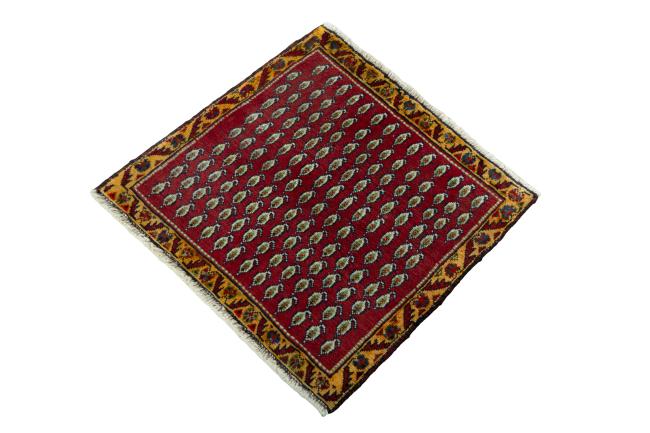 Shiraz - 1