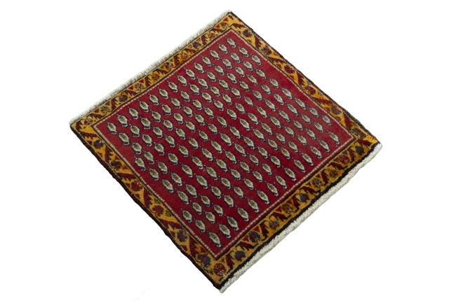 Shiraz - 2