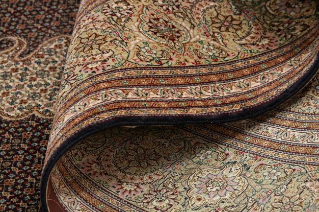 Tabriz 50Raj Mahi - 9