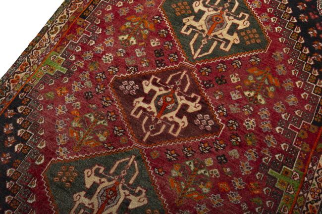 Shiraz - 4