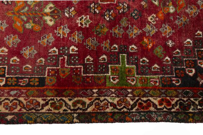 Shiraz - 6