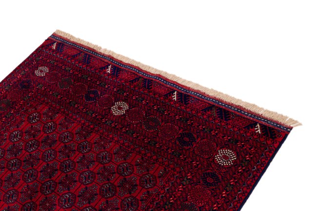 Afghan Mauri - 3