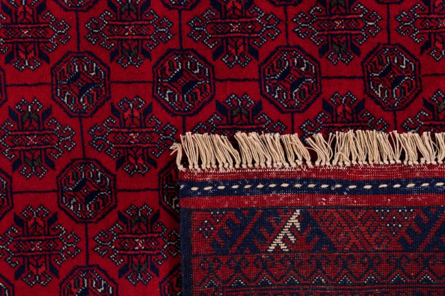 Afghan Mauri - 6