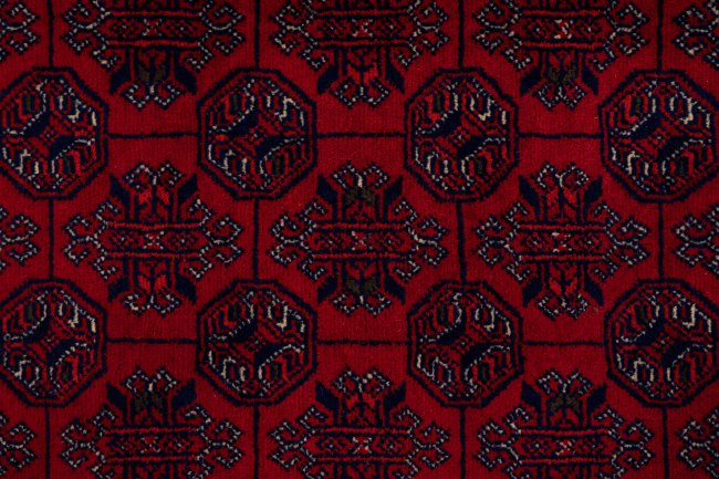 Afghan Mauri - 7