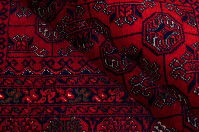 Afghan Mauri - 8