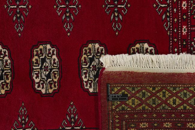 Pakistan Buchara 2ply - 1