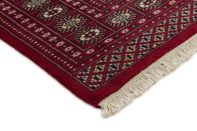Pakistan Buchara 2ply - 3