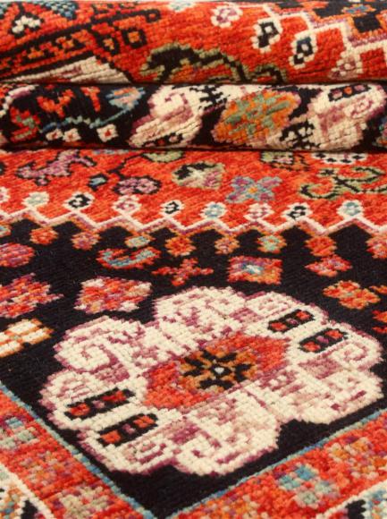 Arijana Ghashghai - 1