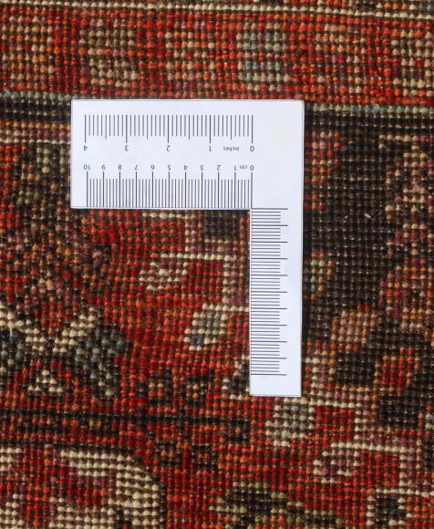 Arijana Ghashghai - 2