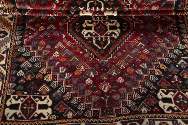 Shiraz - 7