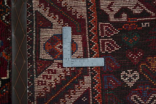 Shiraz - 9
