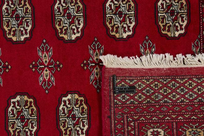 Pakistan Buchara 2ply - 1