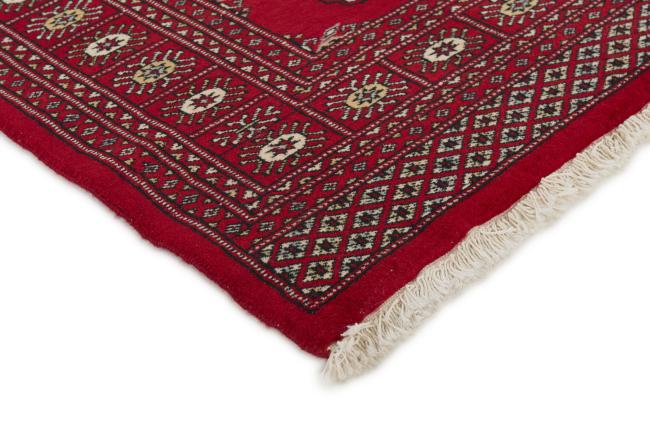 Pakistan Buchara 2ply - 3