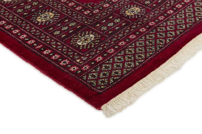 Pakistan Buchara 2ply - 3