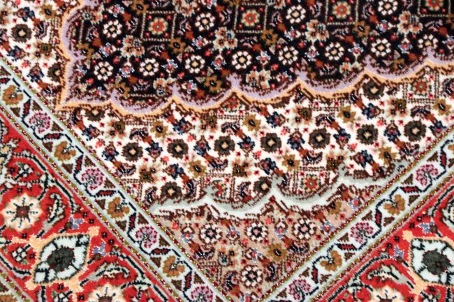 Tabriz Mahi 50Raj - 3