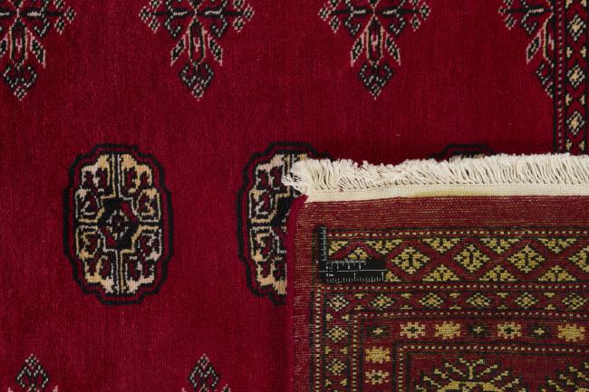 Pakistan Buchara 2ply - 1