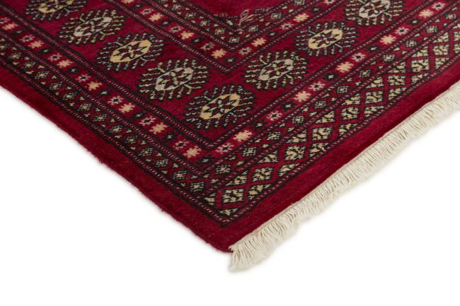 Pakistan Buchara 2ply - 3