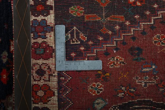 Shiraz - 9