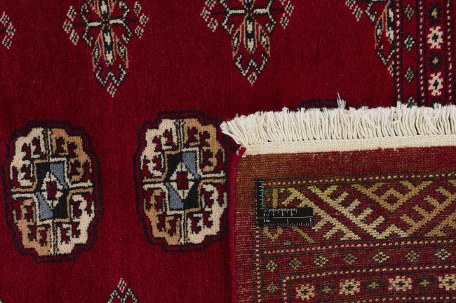 Pakistan Buchara 2ply - 1