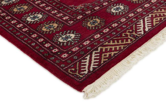 Pakistan Buchara 2ply - 3