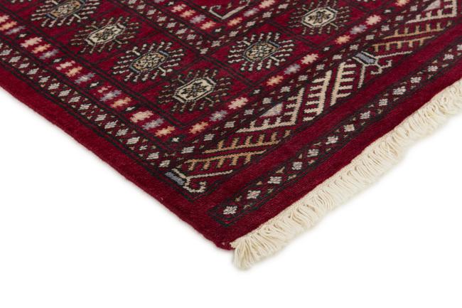 Pakistan Buchara 2ply - 3