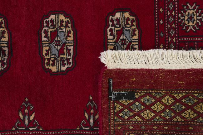 Pakistan Buchara 2ply - 1