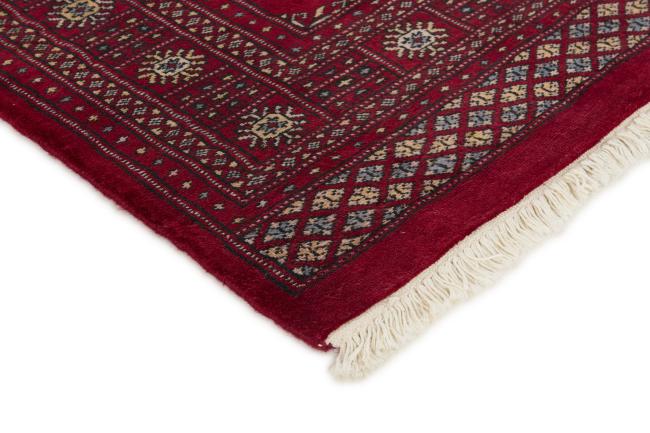 Pakistan Buchara 2ply - 3