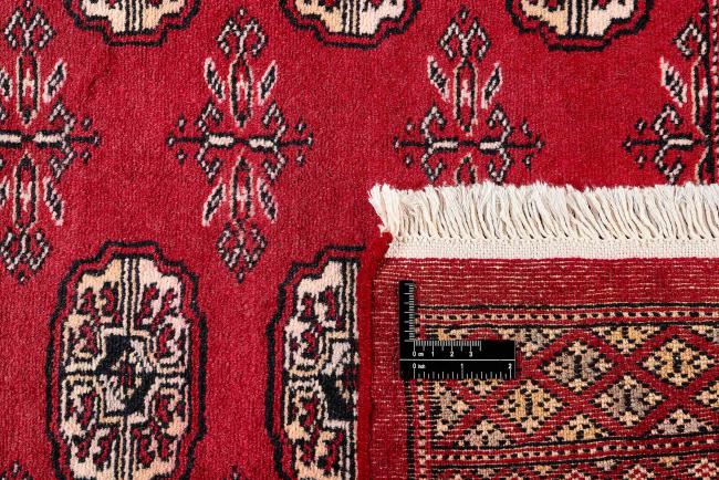 Pakistan Buchara 2ply - 1