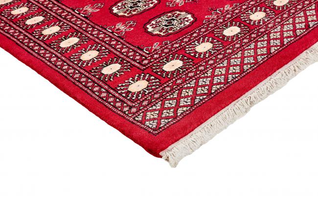 Pakistan Buchara 2ply - 3