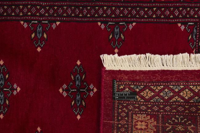 Pakistan Buchara 2ply - 1