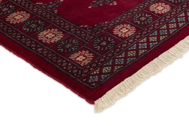 Pakistan Buchara 2ply - 3