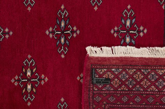 Pakistan Buchara 2ply - 1