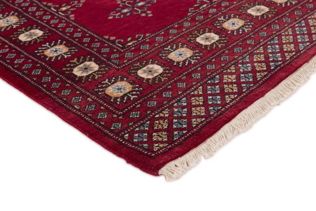 Pakistan Buchara 2ply - 3