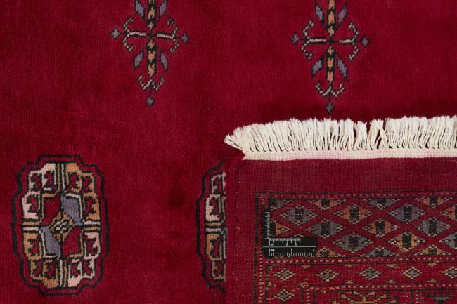 Pakistan Buchara 3ply - 1