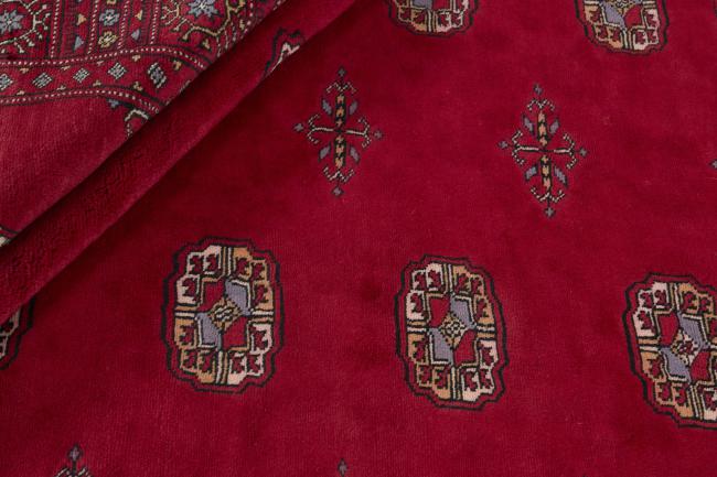 Pakistan Buchara 3ply - 2