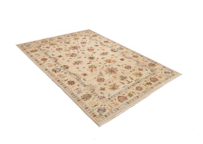 Ziegler Farahan - 2