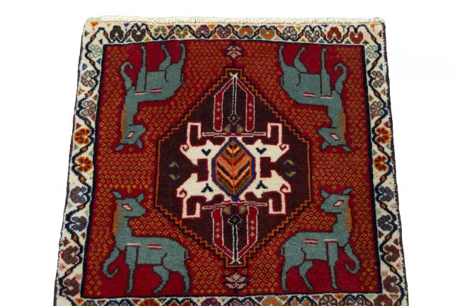 Shiraz - 3