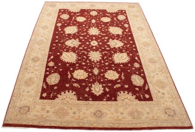 Ziegler Farahan - 3