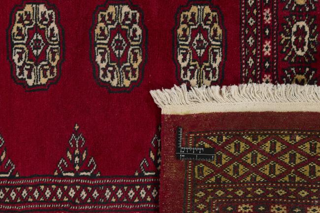 Pakistan Buchara 2ply - 1