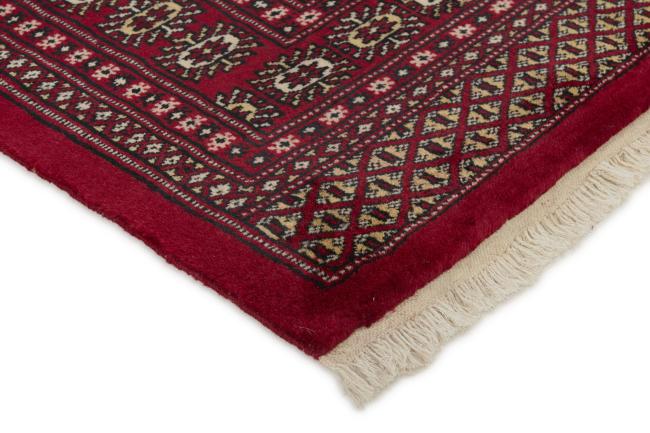 Pakistan Buchara 2ply - 3