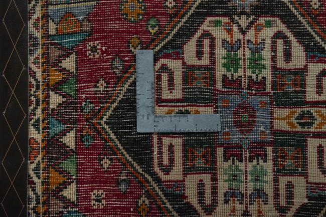 Shiraz - 4