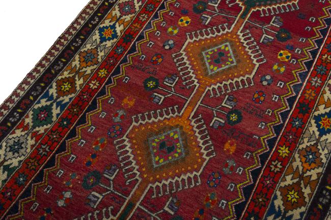 Shiraz - 4